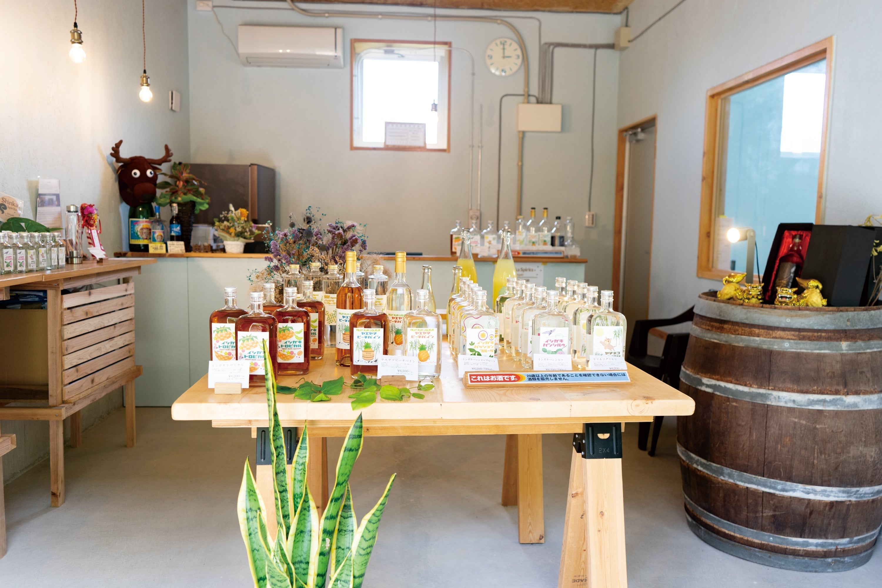 南国果樹を贅沢に使ったオリジナルのお酒