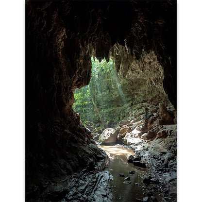 南の風景