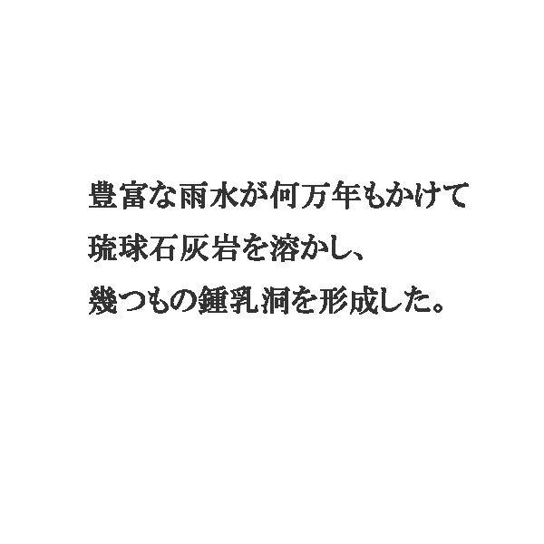 南の風景