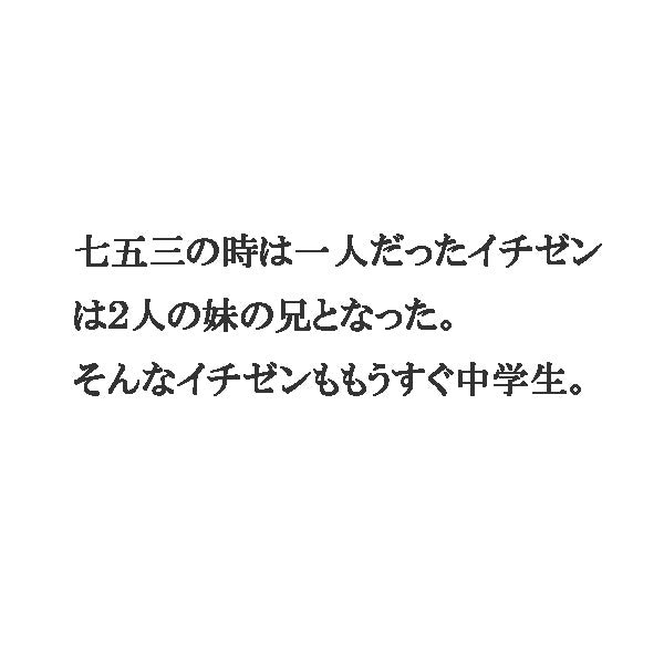 南の風景