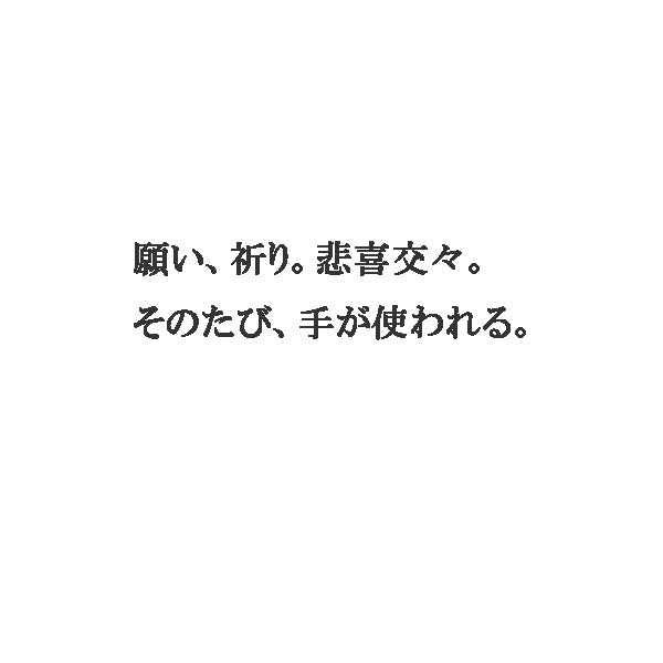 南の風景