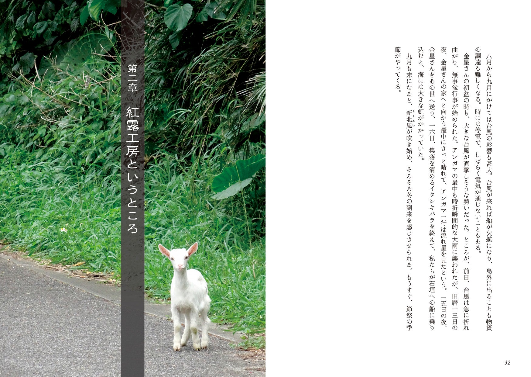 時を織る　西表島・紅露工房物語