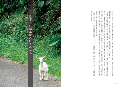 時を織る　西表島・紅露工房物語