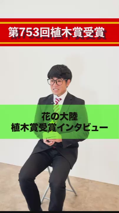 花の大陸-La Florida-